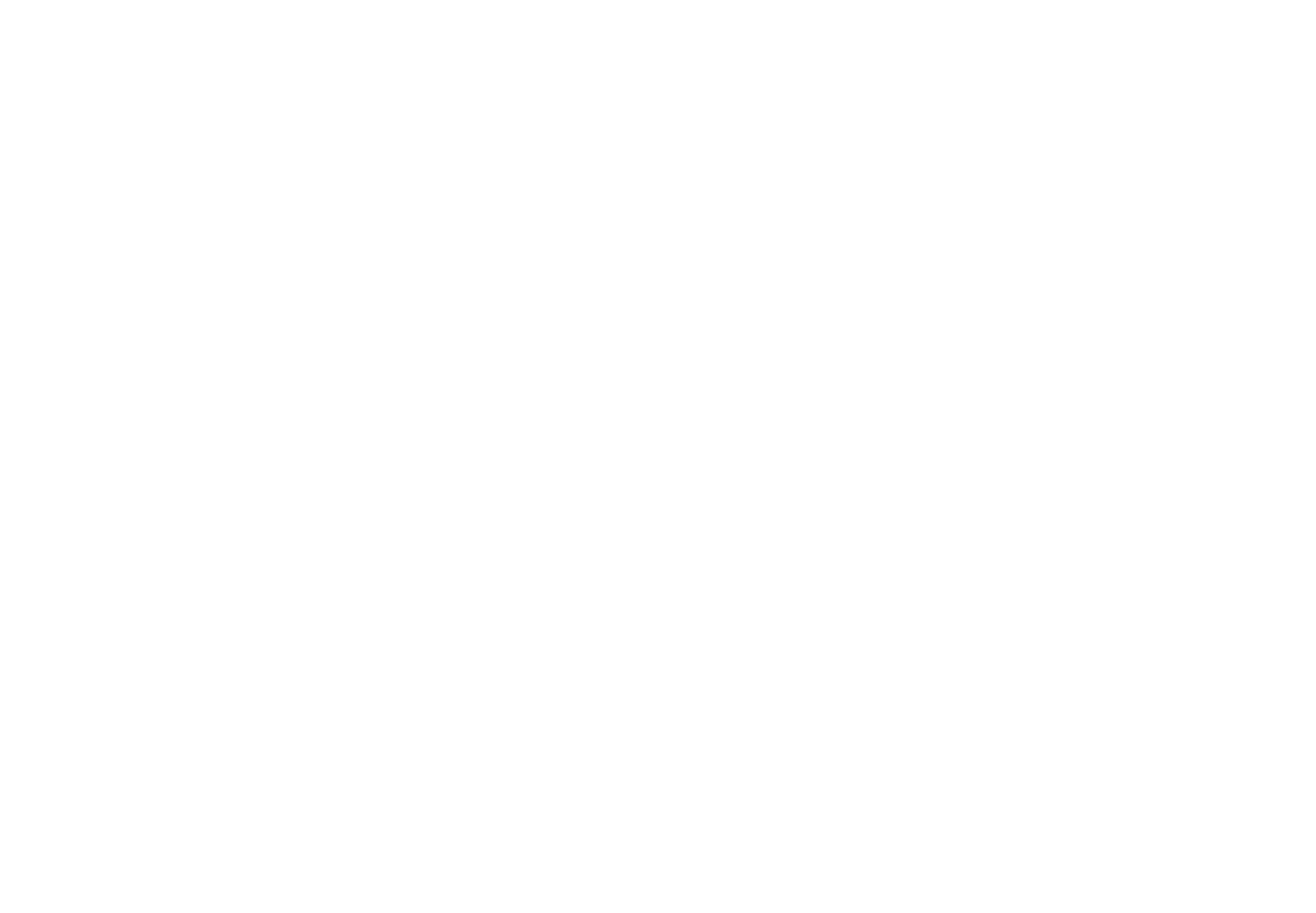 black horse white